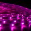 Lite Bulb Moments smart vattentät LED-remsa 5 m